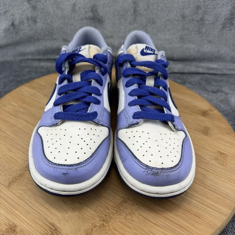 Nike Dunk Low Shoes Boys Size 3.5Y Blue White Basketball Sneakers DZ4456-100